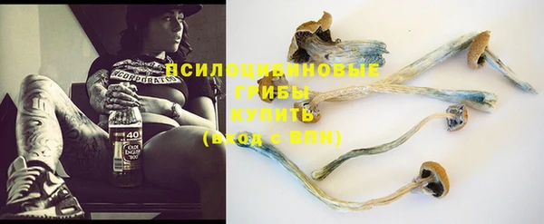 героин Пересвет