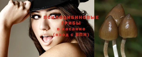 PSILOCYBIN Переславль-Залесский