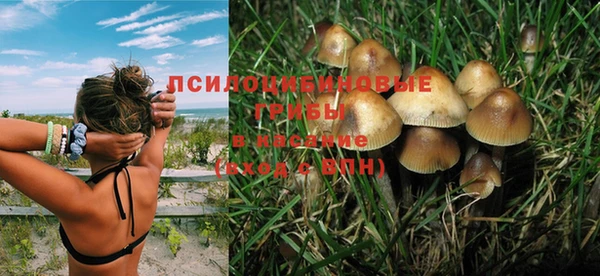 молекула духа Пестово