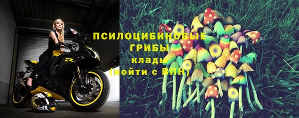 героин Пересвет