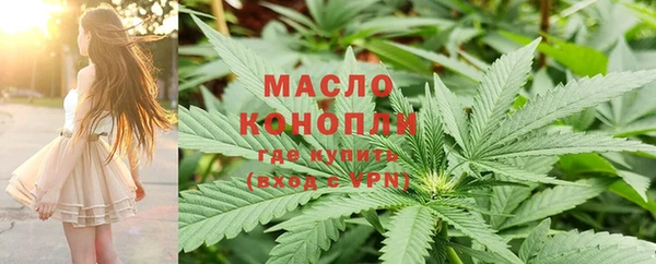 молекула духа Пестово