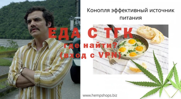 молекула духа Пестово