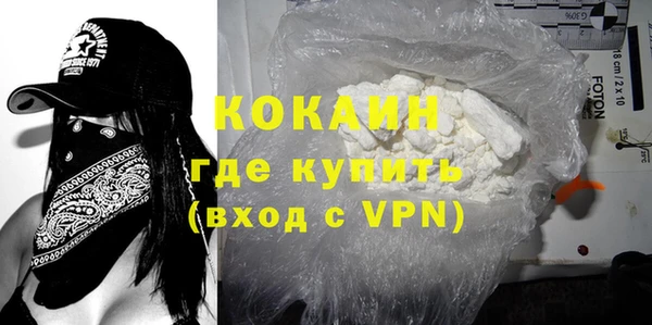 молекула духа Пестово