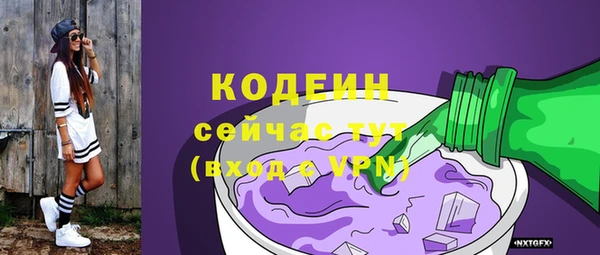 молекула духа Пестово