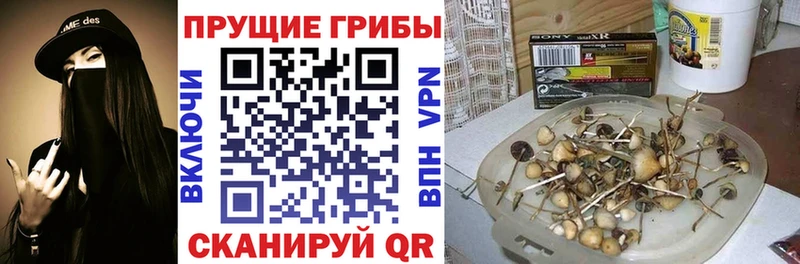 Псилоцибиновые грибы Magic Shrooms OMG зеркало площадка Telegram Аткарск